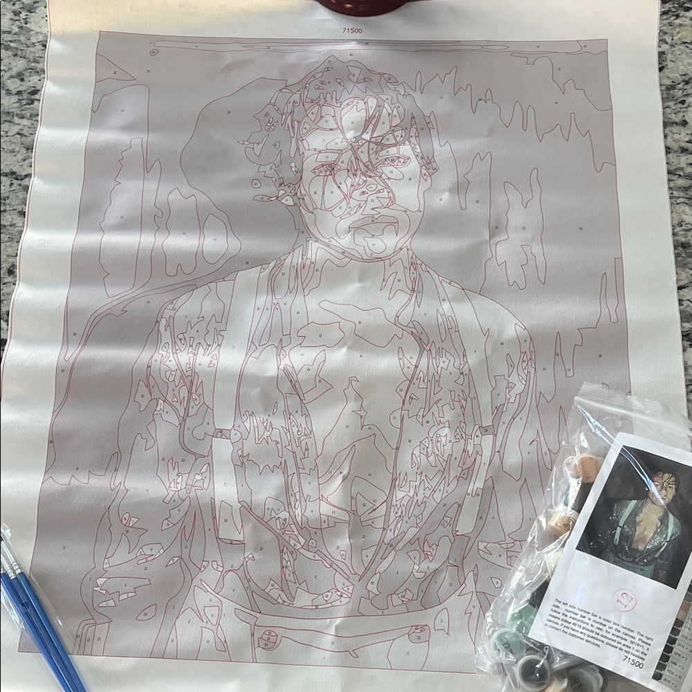 Harry Styles Paint-by-Number Canvas Kit